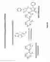 Fig. 30 - Multiplex screening for lysosomal storage disorders (LSDS)