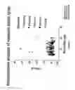 Fig. 32 - Multiplex screening for lysosomal storage disorders (LSDS)