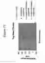 Fig. 14 - Process for single and multiple level metal-insulator-metal integration with a single mask