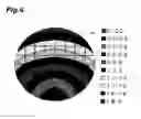 Fig. 07 - Gallium nitride semiconductor substrate with semiconductor film formed therein
