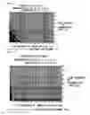 Fig. 03 - Resist underlayer film composition and patterning process using the same