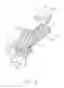 Fig. 04 - Connector having bridge member for coupling ground terminals