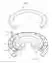 Fig. 04 - Carrier head and carrier head unit