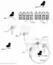 Fig. 01 - Sensory Enhancement Systems and Methods in Personal Electronic Devices