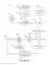 Fig. 29 - Method, Apparatus, and System for Entertaining Users of an Electronic Information Distribution System