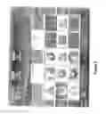 Fig. 08 - GAMING  SYSTEM AND A METHOD OF GAMING