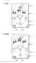 Fig. 07 - Gaming device and recording medium