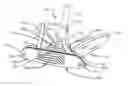 Fig. 01 - Putter heads and putters