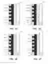 Fig. 04 - Putter heads and putters