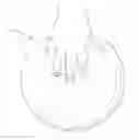 Fig. 01 - Exercise ball