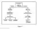 Fig. 07 - METHODS FOR DIAGNOSING FOLLICULAR THYROID CANCER