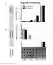 Fig. 11 - HIGHLY EFFICIENT GENE-REGULATORY ELEMENT SCREENING ASSAY AND COMPOSITIONS FOR PERFORMING THE SAME