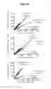 Fig. 12 - HIGHLY EFFICIENT GENE-REGULATORY ELEMENT SCREENING ASSAY AND COMPOSITIONS FOR PERFORMING THE SAME