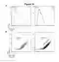 Fig. 13 - HIGHLY EFFICIENT GENE-REGULATORY ELEMENT SCREENING ASSAY AND COMPOSITIONS FOR PERFORMING THE SAME