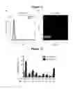 Fig. 14 - HIGHLY EFFICIENT GENE-REGULATORY ELEMENT SCREENING ASSAY AND COMPOSITIONS FOR PERFORMING THE SAME