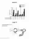 Fig. 22 - HIGHLY EFFICIENT GENE-REGULATORY ELEMENT SCREENING ASSAY AND COMPOSITIONS FOR PERFORMING THE SAME