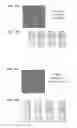 Fig. 09 - Lateral flow assays using two dimensional features