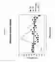 Fig. 14 - SiRNA targeting connective tissue growth factor (CTGF)