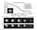 Fig. 10 - SYSTEM AND METHOD FOR HIGH DENSITY ASSEMBLY AND PACKING OF MICRO-REACTORS