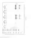 Fig. 09 - COMBINATORIAL METHODS FOR OPTIMIZING ENGINEERED MICROORGANISM FUNCTION