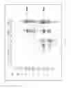 Fig. 10 - COMBINATORIAL METHODS FOR OPTIMIZING ENGINEERED MICROORGANISM FUNCTION