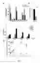 Fig. 02 - Use of constrained peptide mimic oligomers as vectorization agents