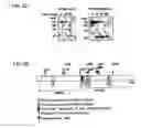Fig. 05 - Variants of pigment epithelium derived factor and uses thereof