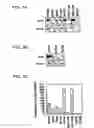 Fig. 06 - Variants of pigment epithelium derived factor and uses thereof