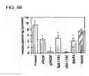Fig. 12 - Variants of pigment epithelium derived factor and uses thereof