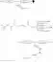 Fig. 07 - Novel Ubiquitin-Isopeptide Probes