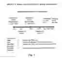 Fig. 02 - USES OF CYSTATIN