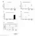 Fig. 08 - USES OF CYSTATIN