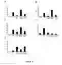Fig. 10 - USES OF CYSTATIN