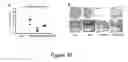Fig. 11 - USES OF CYSTATIN