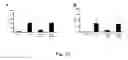 Fig. 14 - USES OF CYSTATIN