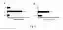 Fig. 16 - USES OF CYSTATIN