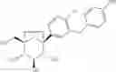 Fig. 26 - Dioxa-bicyclo[3.2.1]octane-2,3,4-triol derivatives