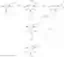 Fig. 41 - Dioxa-bicyclo[3.2.1]octane-2,3,4-triol derivatives
