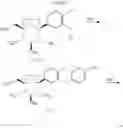 Fig. 42 - Dioxa-bicyclo[3.2.1]octane-2,3,4-triol derivatives