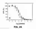 Fig. 05 - INSULIN ANALOGUES OF ENHANCED RECEPTOR-BINDING SPECIFICITY