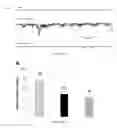 Fig. 02 - Methods and compound to inhibit Ca permeable cation conductance