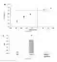 Fig. 10 - Methods and compound to inhibit Ca permeable cation conductance