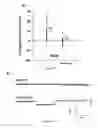 Fig. 15 - Methods and compound to inhibit Ca permeable cation conductance