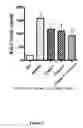 Fig. 03 - Ophthalmic pharmaceutical compositions of DP2 receptor antagonists