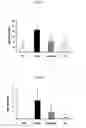 Fig. 06 - Pharmaceutical composition comprising an extract of pseudolysimachion longifolium and the catalpol derivatives isolated therefrom having antiinflammatory, antiallergic and antiasthmatic activity
