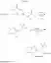 Fig. 29 - Cold menthol receptor-1 antagonists