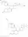 Fig. 04 - 17-hydroxy-17-pentafluoroethyl-estra-4,9(10)-diene-11-methylene oxyalkylene aryl derivatives, process for preparation thereof, and use thereof for treatment of diseases