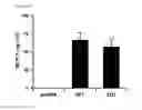 Fig. 11 - METHODS OF TREATING OR PREVENTING AN INFLAMMATORY DISEASE OR CONDITION USING GLUTAMINYL CYCLASE INHIBITORS