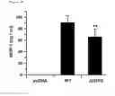 Fig. 13 - METHODS OF TREATING OR PREVENTING AN INFLAMMATORY DISEASE OR CONDITION USING GLUTAMINYL CYCLASE INHIBITORS