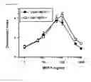 Fig. 41 - METHODS OF TREATING OR PREVENTING AN INFLAMMATORY DISEASE OR CONDITION USING GLUTAMINYL CYCLASE INHIBITORS